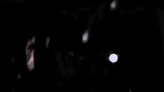 1165 japan porn videos